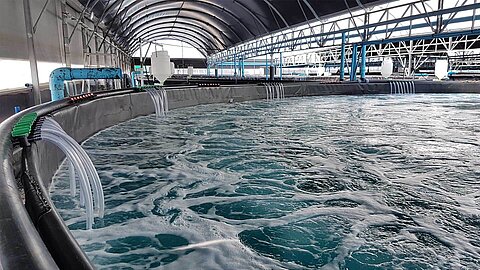 Solutions pour aquaculture