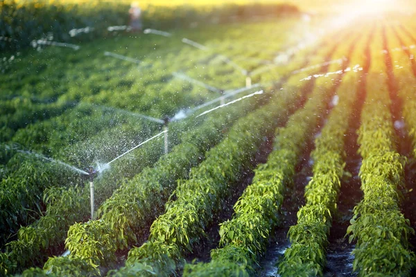 Irrigation Bretagne